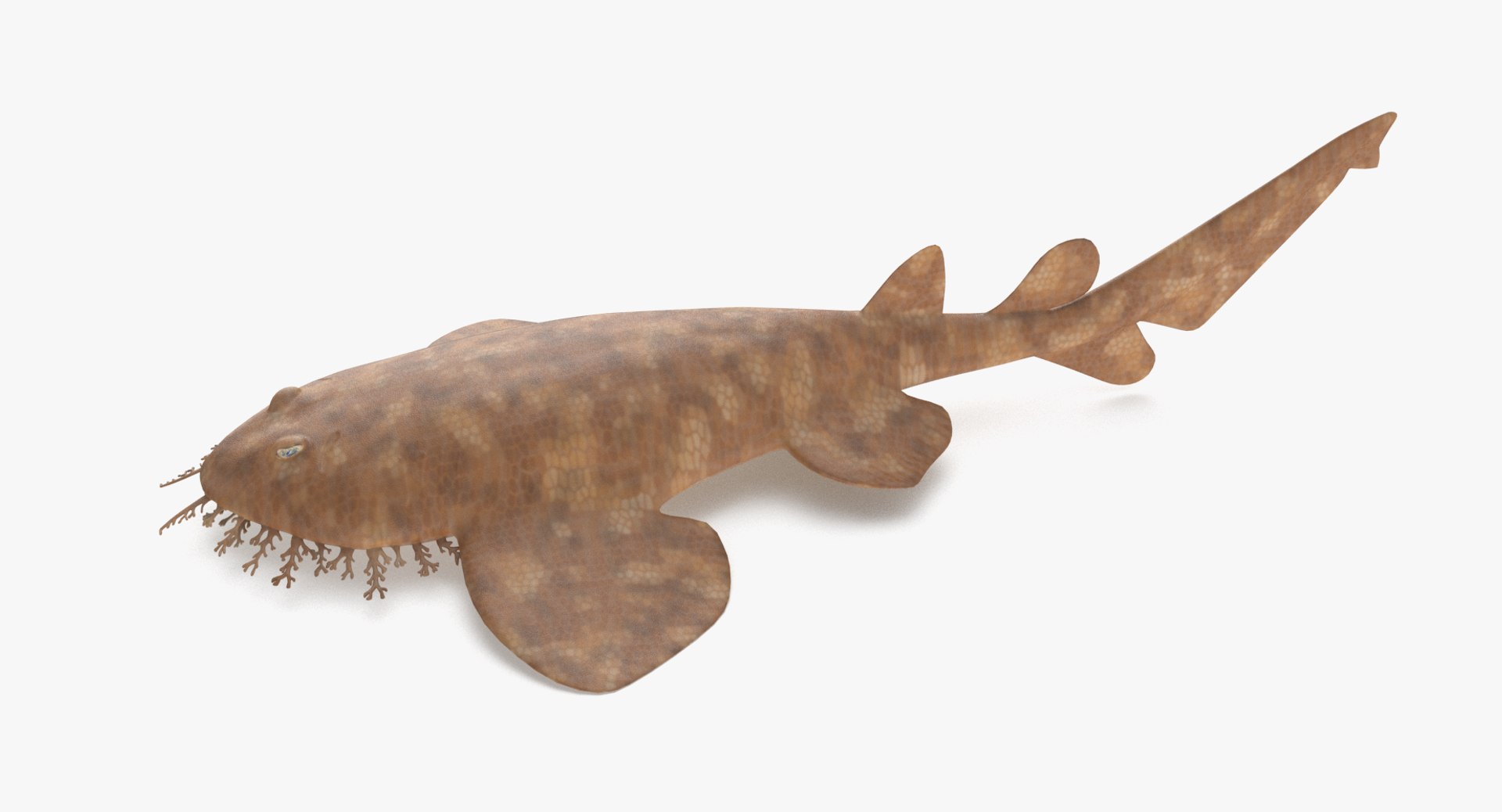 3D model shark sandbar hammerhead https://p.turbosquid.com/ts-thumb/Ld/eks0EA/j1lWU6vM/wob_1/png/1538215651/1920x1080/fit_q87/092174e816acc0dfe867b5415c26fc31e47ca387/wob_1.jpg