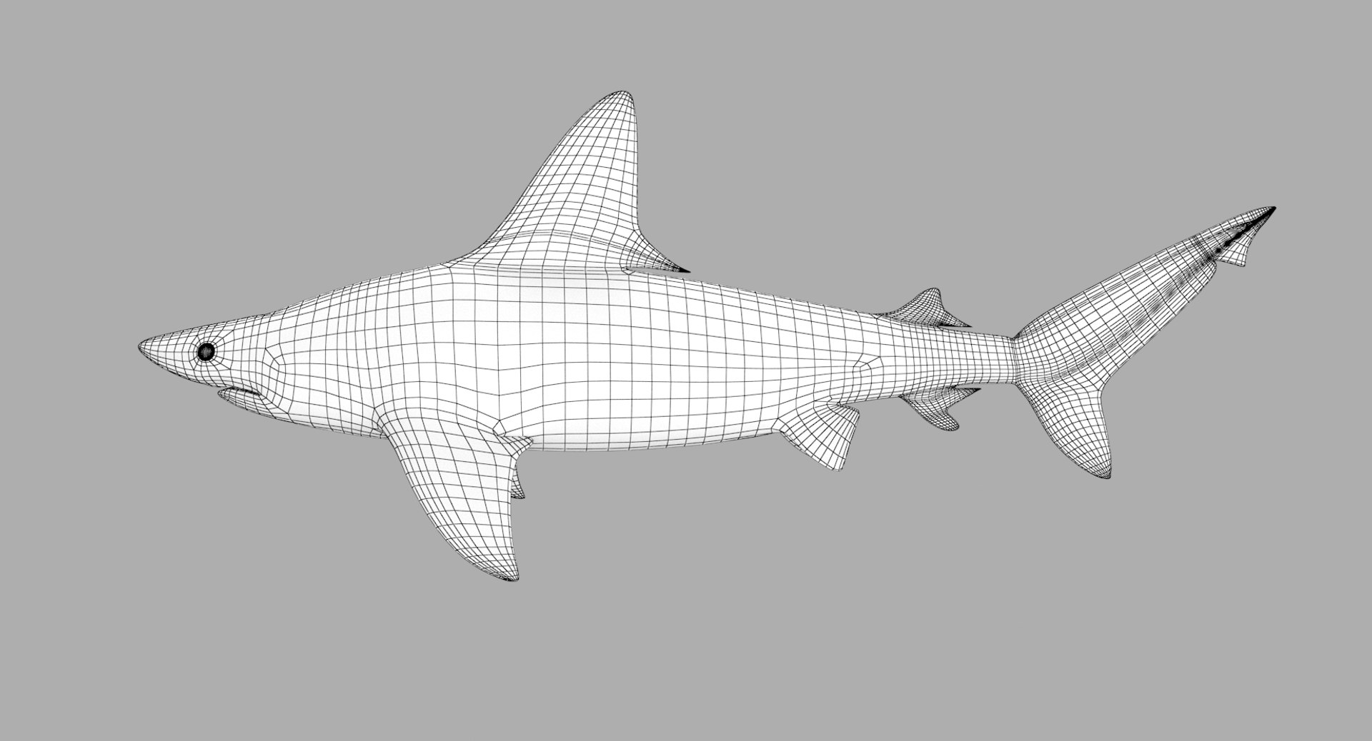 3D model shark sandbar hammerhead https://p.turbosquid.com/ts-thumb/Ld/eks0EA/oXmIH2yz/sandbar_r2w/png/1538215622/1920x1080/fit_q87/5451e2b1f9019df89937c844f0b02d816399bbe2/sandbar_r2w.jpg