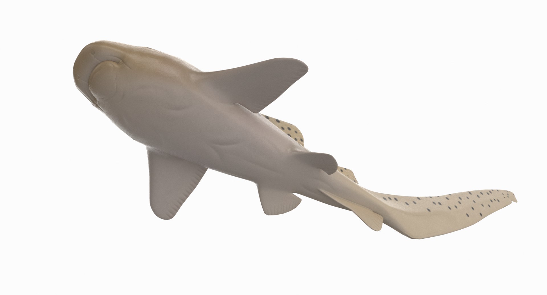 3D model shark sandbar hammerhead https://p.turbosquid.com/ts-thumb/Ld/eks0EA/spdB5CMy/zebrashark_r7/png/1538215652/1920x1080/fit_q87/d15fb334661c8781394748e220213ad325a7ddab/zebrashark_r7.jpg