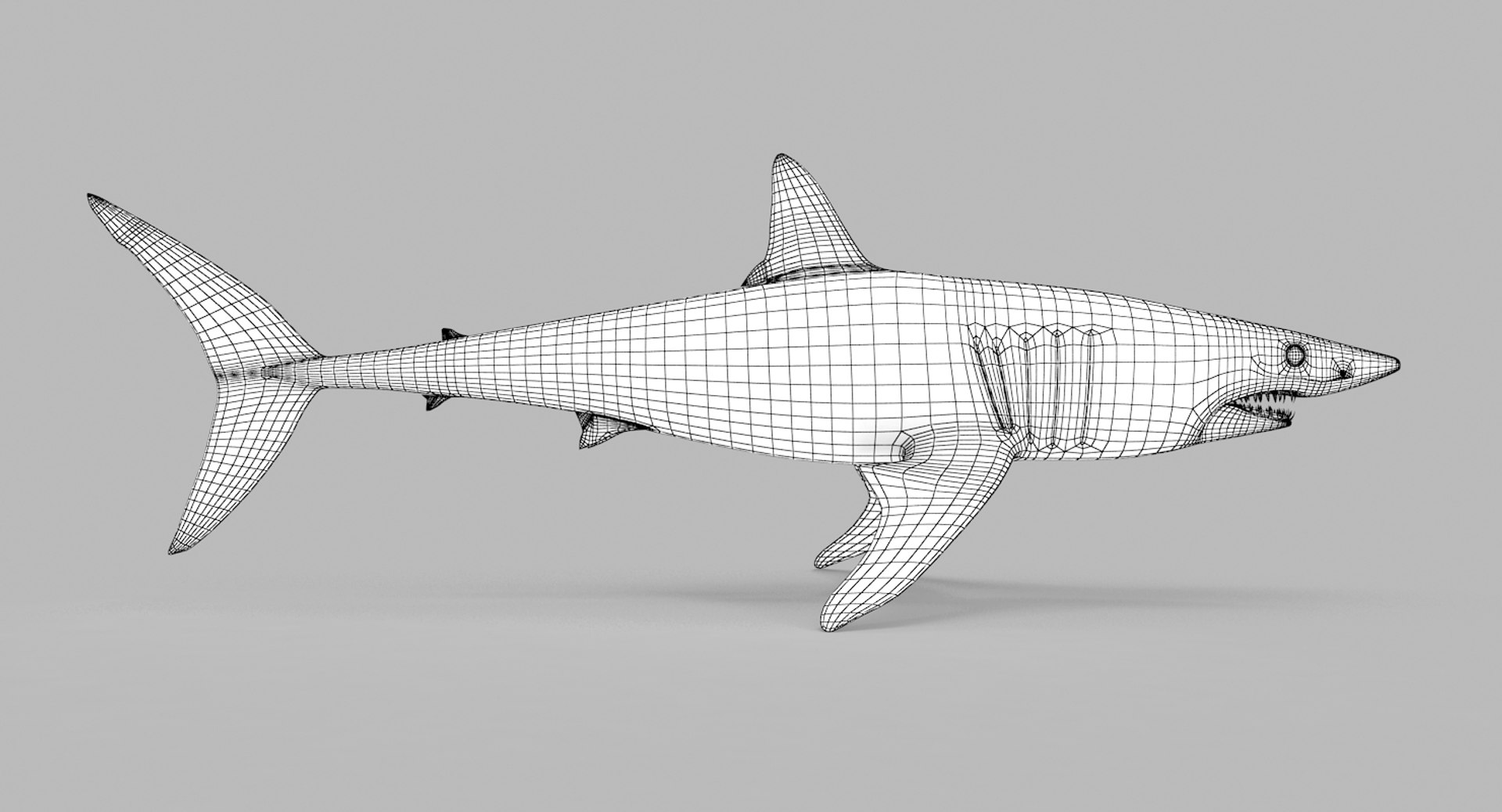 3D model shark sandbar hammerhead https://p.turbosquid.com/ts-thumb/Ld/eks0EA/vPBq4iCt/mako_r1w/jpg/1538215584/1920x1080/fit_q87/3c125108b19efe5d2d347dbed47886668db2d420/mako_r1w.jpg