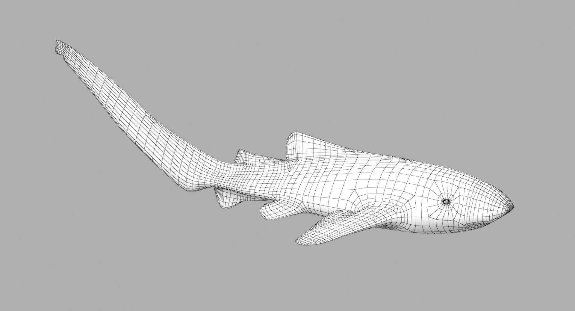 3D model shark sandbar hammerhead https://p.turbosquid.com/ts-thumb/Ld/eks0EA/zN6oGMe7/zebrashark_r1w/png/1538215652/1920x1080/fit_q87/a0cddf4f5b8eca59635221da602d516d3d78e280/zebrashark_r1w.jpg
