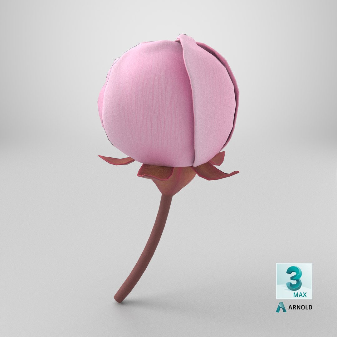 Prop 18 Cherry Blossom Sprig Type 03 Model - TurboSquid 2146771
