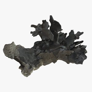 Heliopora Coerulea Coral Low Poly 3D model