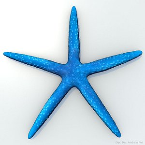 3ds blue starfish