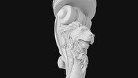 Lion Leg