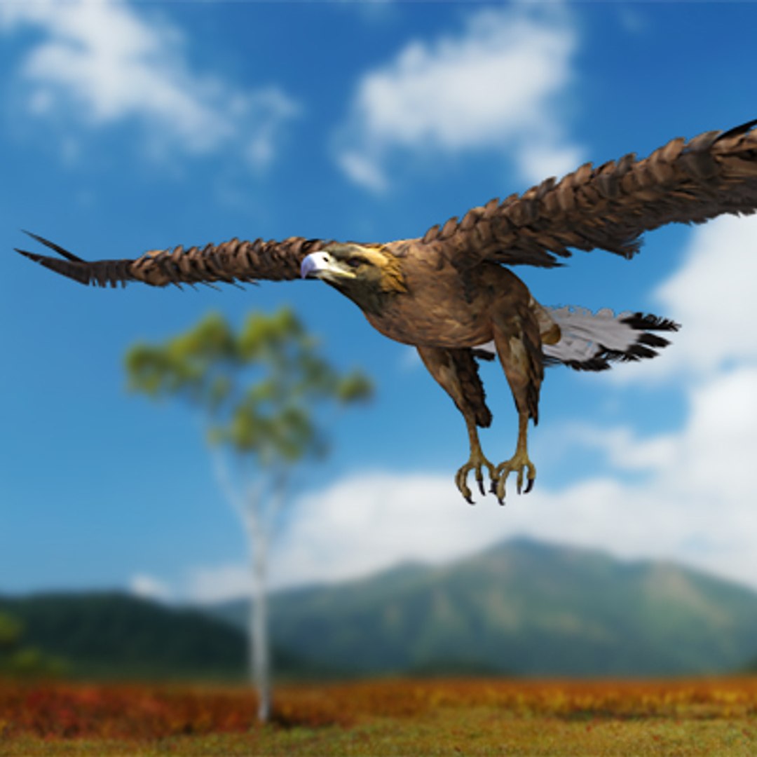 golden eagle 3d model https://p.turbosquid.com/ts-thumb/Ld/ngNCVy/4QpubOrP/golden_eagle_logo/jpg/1286266905/1920x1080/fit_q87/9eb8b162143bc6947ea2448c474a2e8a580ae73b/golden_eagle_logo.jpg