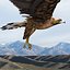 Golden eagle by 3DRivers