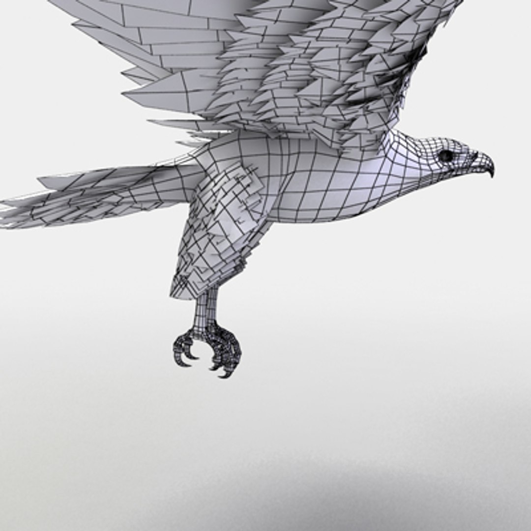 golden eagle 3d model https://p.turbosquid.com/ts-thumb/Ld/ngNCVy/cYNjdSqa/golden_eagle_w_04/jpg/1286266905/1920x1080/fit_q87/cf8947f6c146746ed11aab44004f0ed64a8d9ed0/golden_eagle_w_04.jpg