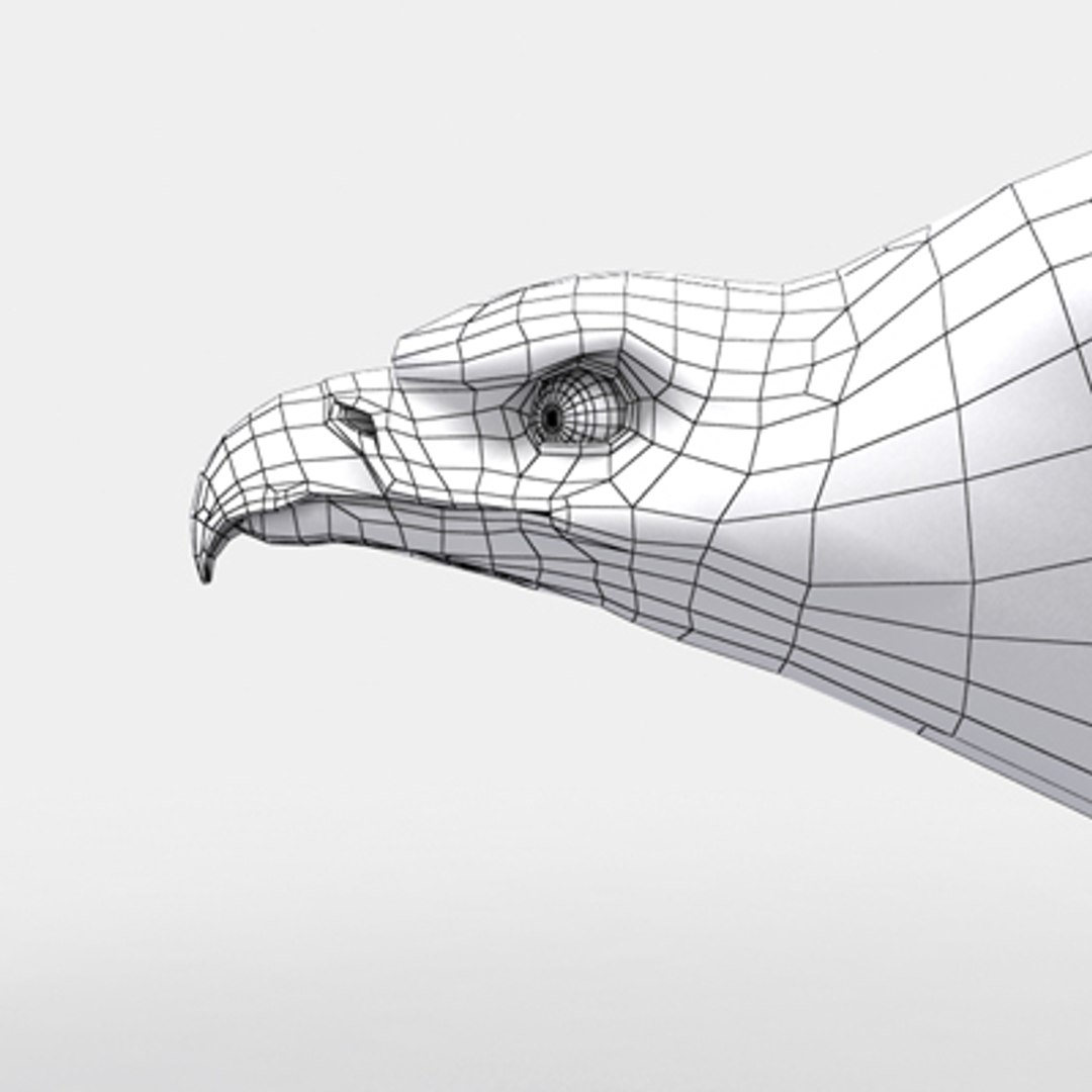 golden eagle 3d model https://p.turbosquid.com/ts-thumb/Ld/ngNCVy/eFR1nMis/golden_eagle_w_02/jpg/1286266905/1920x1080/fit_q87/29ddcafd382ccb0d5cf6f7fd8325dee445609c93/golden_eagle_w_02.jpg