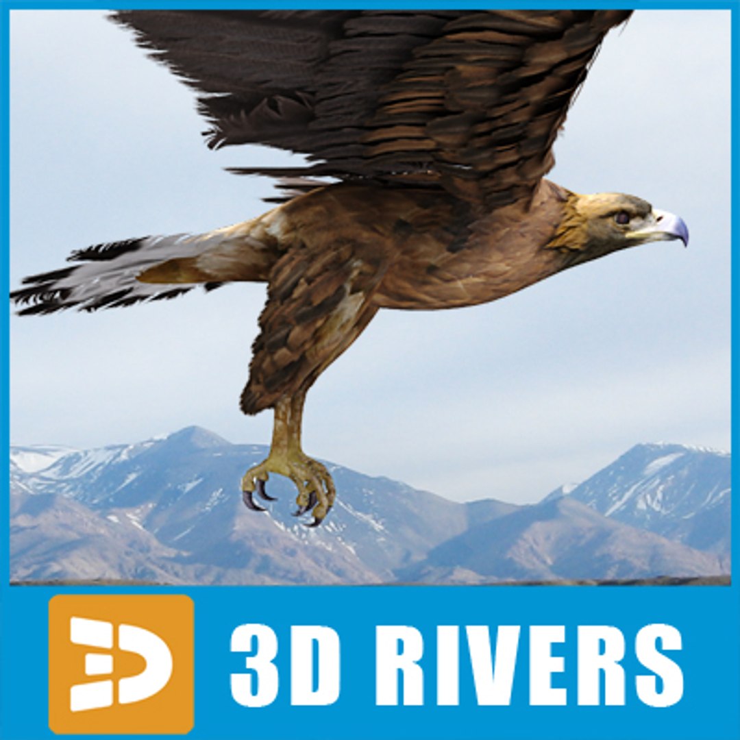 golden eagle 3d model https://p.turbosquid.com/ts-thumb/Ld/ngNCVy/lriPbJ2d/golden_eagle_logo/jpg/1286266869/1920x1080/fit_q87/86cb55eb1fe5de478f006c74e5cb87302bca79f6/golden_eagle_logo.jpg