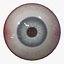 Ojo humano