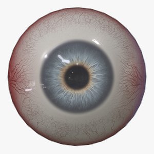 Human Eye