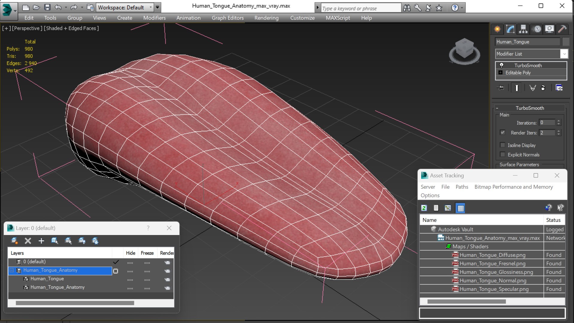 Human Tongue Anatomy 3D model https://p.turbosquid.com/ts-thumb/Ld/wBbVKl/9B/humantongueanatomy3dmodel019/jpg/1695258356/1920x1080/fit_q87/91495af4b30e2d5caa486c6ad0c02e48ffc32b56/humantongueanatomy3dmodel019.jpg
