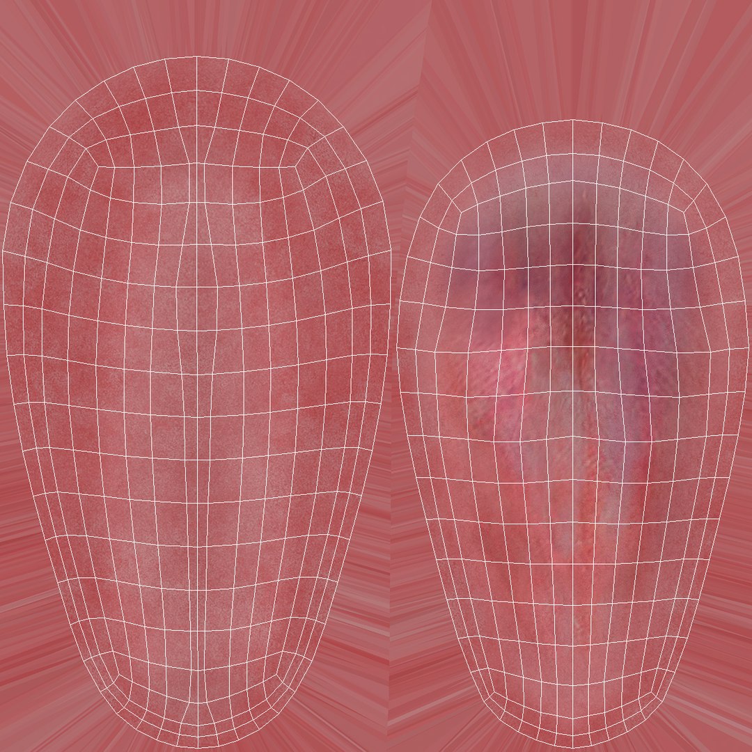 Human Tongue Anatomy 3D model https://p.turbosquid.com/ts-thumb/Ld/wBbVKl/Iu/humantongueanatomy3dmodel017/jpg/1695258348/1920x1080/fit_q87/ff5d1facaddbc877ff98b98073f0e687bceb2c83/humantongueanatomy3dmodel017.jpg