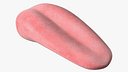 Human Tongue Anatomy