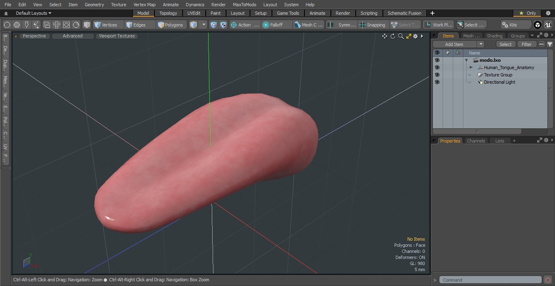 Human Tongue Anatomy 3D model https://p.turbosquid.com/ts-thumb/Ld/wBbVKl/oi/humantongueanatomy3dmodel020/jpg/1695258359/1920x1080/fit_q87/a86a3871e9015c98a5cd3cb3136753875e14fa91/humantongueanatomy3dmodel020.jpg