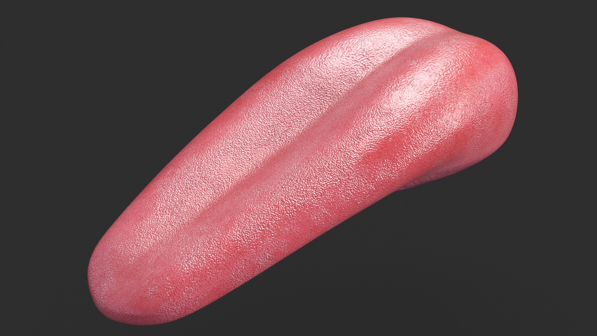 Human Tongue Anatomy 3D model https://p.turbosquid.com/ts-thumb/Ld/wBbVKl/tw/humantongueanatomy3dmodel007/jpg/1695258314/1920x1080/fit_q87/f5059e85480315eaf2c9d37130ea8f8376f2e0df/humantongueanatomy3dmodel007.jpg