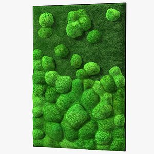 evergreen moss vertical garden 3D
