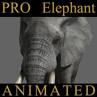 PRO Elephant ANIMATED