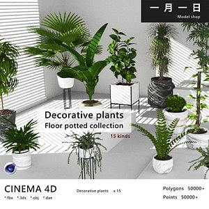 3D model Decorative plants floor potted collection