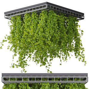 Collection plant vol 545 - ampelous - hanging - False Ceiling - tileable 3D