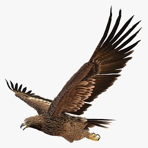 Imperial Eagle Rigged