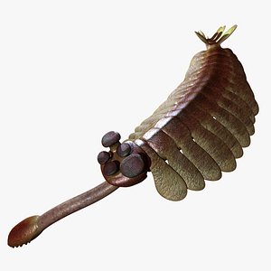 opabinia sealife prehistoric 3d model