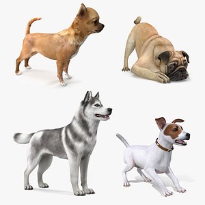 3D Dogs Rigged Collection 3 for Maya