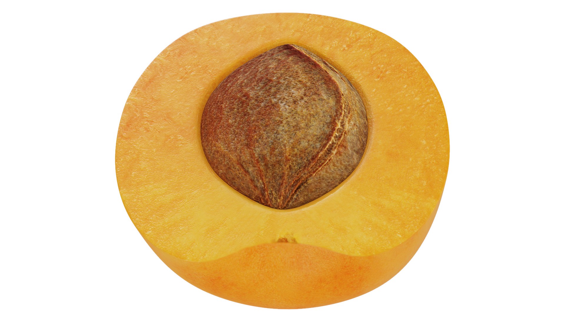 3D Model Apricot Half - TurboSquid 1956316