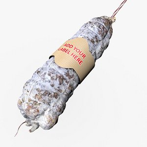 French salami