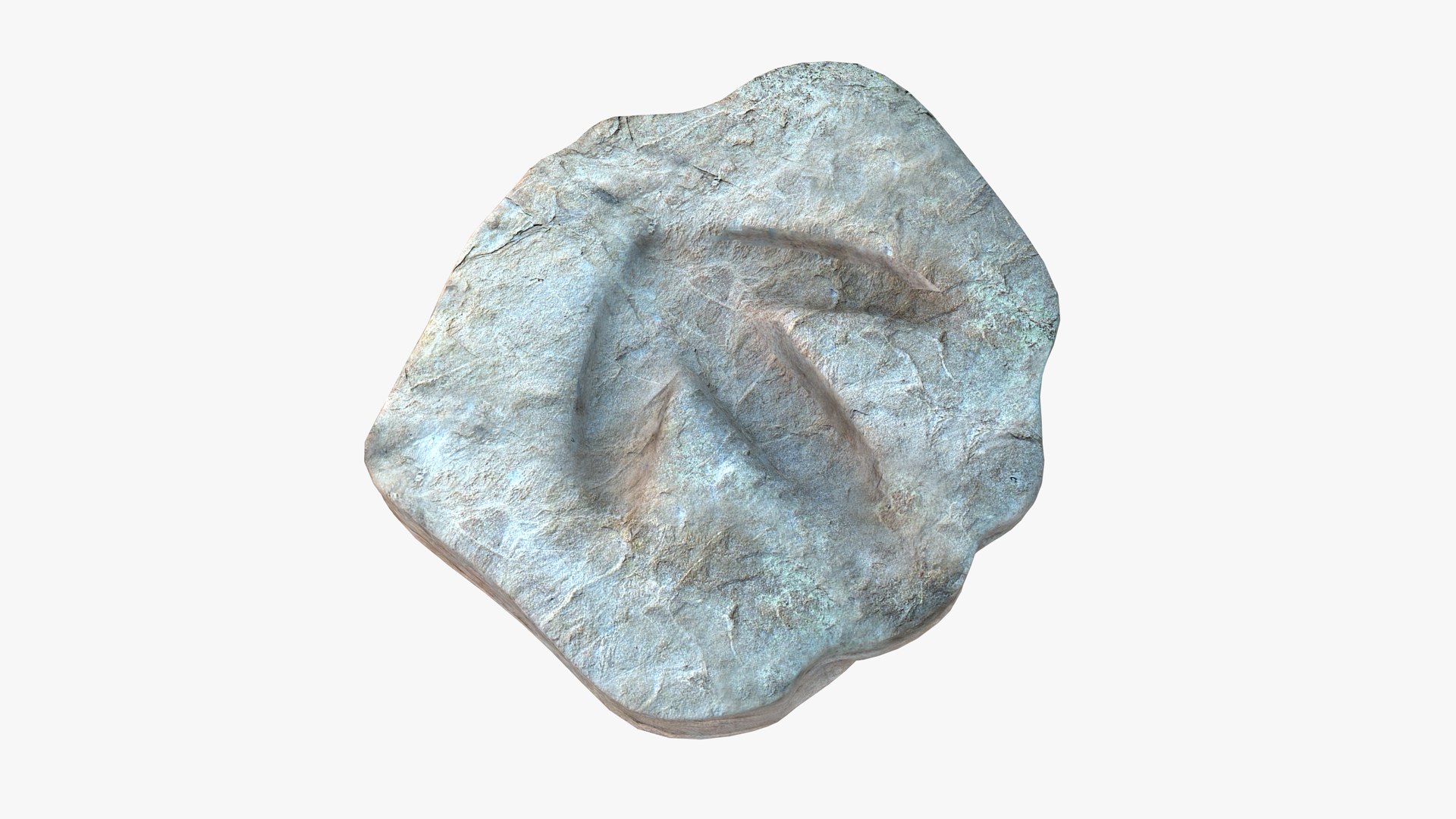 realistic dinosaur footprint fossil 3D model https://p.turbosquid.com/ts-thumb/Lf/hnSLa4/FHwJfR02/0025/png/1570095384/1920x1080/fit_q87/932f91b555288679bdc2ae34a74bebfec3d493f9/0025.jpg