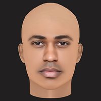 Low Poly Big Sean Rapper Head
