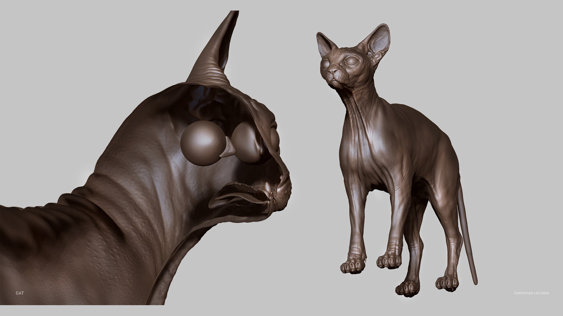 Cat model - TurboSquid 1714520
