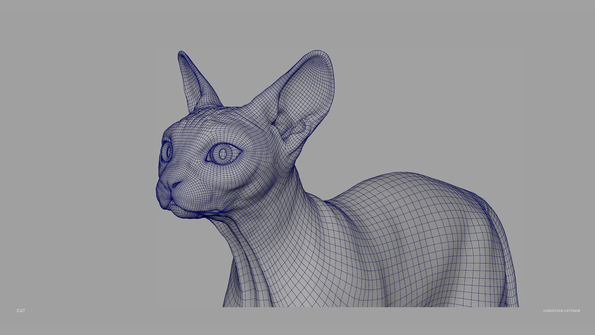 Cat model - TurboSquid 1714520
