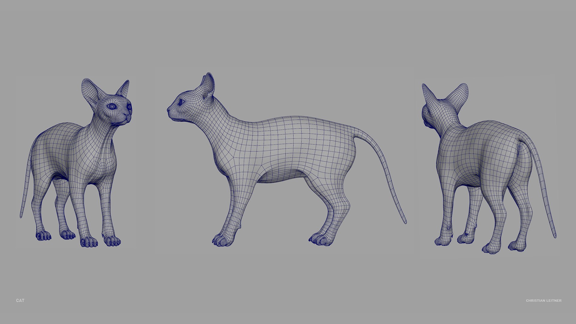 Cat model - TurboSquid 1714520