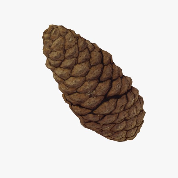 Pine Cone - Real-Time 3D Scanned 3D model