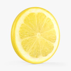 Round Lemon Slice 3D