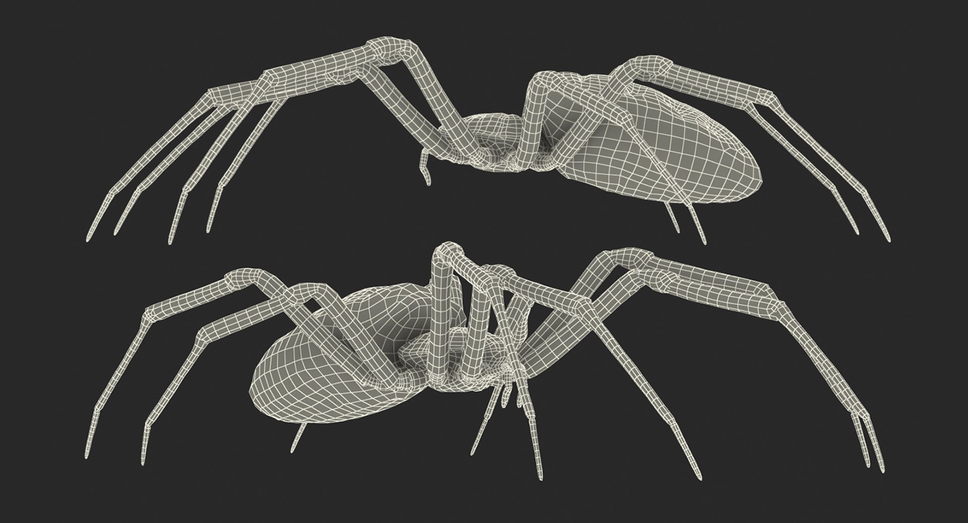 argiope aurantia yellow garden 3D https://p.turbosquid.com/ts-thumb/Lg/JaWoIl/AIwhJmsg/argiopeaurantiaoryellowgardenspiderriggedmayamb3dmodel27/jpg/1504594076/1920x1080/fit_q87/8a7732704afce2b042307d1d150db2ee0878b954/argiopeaurantiaoryellowgardenspiderriggedmayamb3dmodel27.jpg