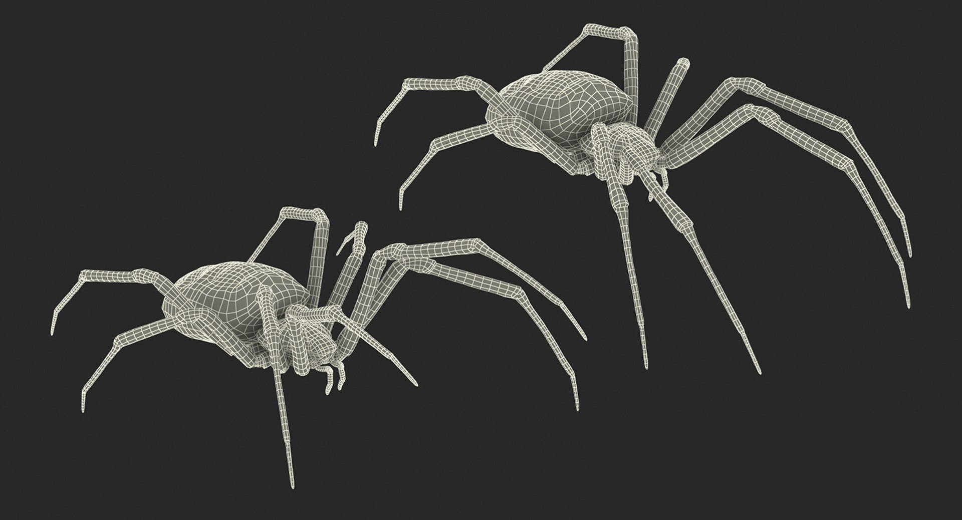 argiope aurantia yellow garden 3D https://p.turbosquid.com/ts-thumb/Lg/JaWoIl/Qf6lv8m6/argiopeaurantiaoryellowgardenspiderriggedmayamb3dmodel31/jpg/1504594076/1920x1080/fit_q87/f78e822328793a8c2814cedccc5e27478a12b921/argiopeaurantiaoryellowgardenspiderriggedmayamb3dmodel31.jpg