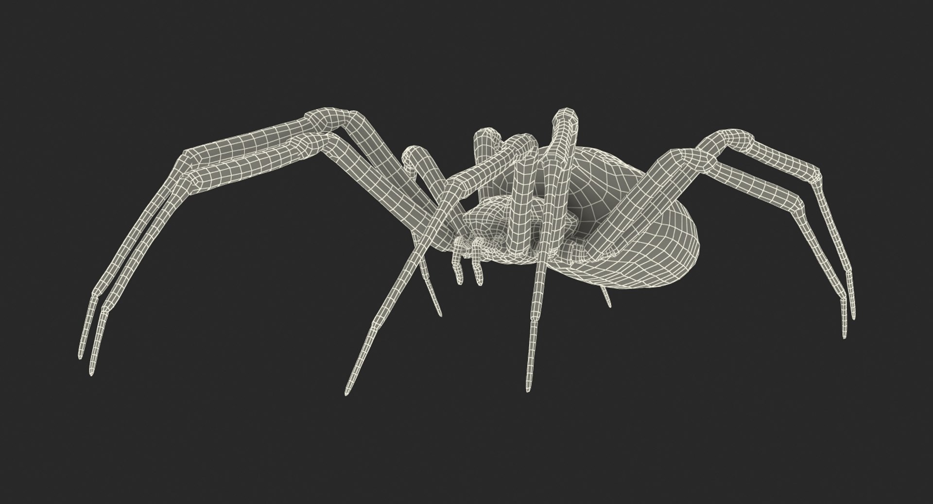 argiope aurantia yellow garden 3D https://p.turbosquid.com/ts-thumb/Lg/JaWoIl/W2tK1mVp/argiopeaurantiaoryellowgardenspiderriggedmayamb3dmodel32/jpg/1504594076/1920x1080/fit_q87/8f180955460b0bfe62f6bafc4d0d7bb31db5070c/argiopeaurantiaoryellowgardenspiderriggedmayamb3dmodel32.jpg