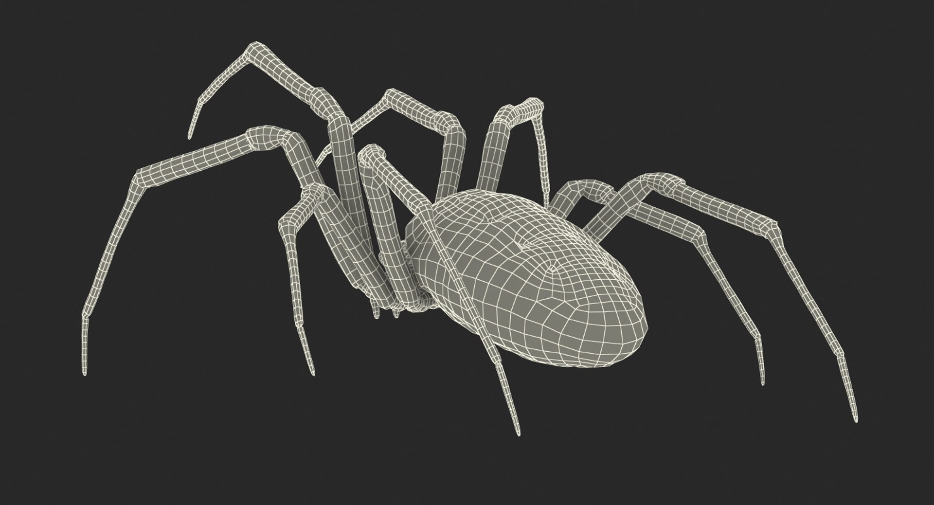 argiope aurantia yellow garden 3D https://p.turbosquid.com/ts-thumb/Lg/JaWoIl/cVPaeoLR/argiopeaurantiaoryellowgardenspiderriggedmayamb3dmodel28/jpg/1504594076/1920x1080/fit_q87/aedf9cd315fc9b70c82ee6d35153e2a839394415/argiopeaurantiaoryellowgardenspiderriggedmayamb3dmodel28.jpg