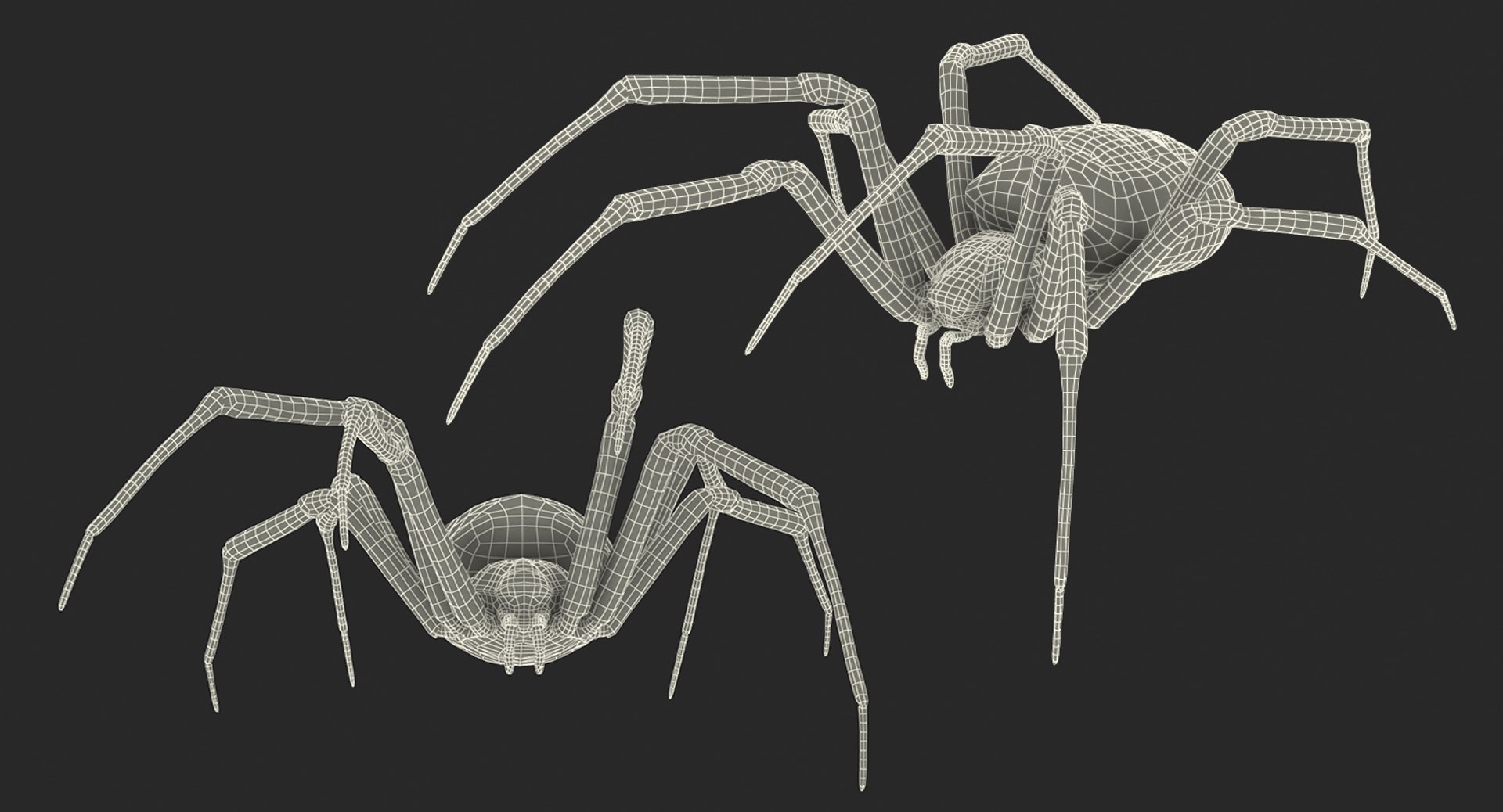 argiope aurantia yellow garden 3D https://p.turbosquid.com/ts-thumb/Lg/JaWoIl/eszpaMT9/argiopeaurantiaoryellowgardenspiderriggedmayamb3dmodel33/jpg/1504594076/1920x1080/fit_q87/3d9fd84eab4582e3f89d23e55e26855cb6f385fb/argiopeaurantiaoryellowgardenspiderriggedmayamb3dmodel33.jpg