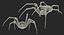 Argiope Aurantia ou Yellow Garden Spider truqué pour Maya