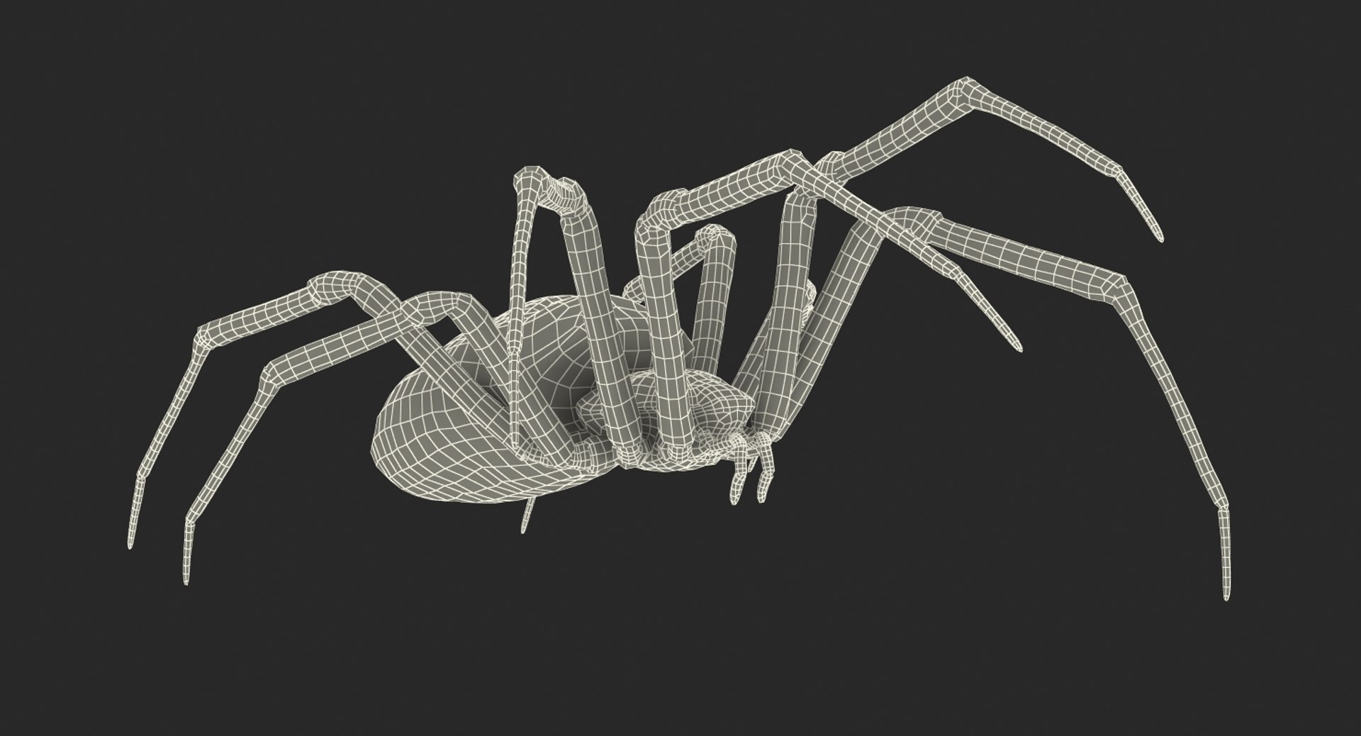argiope aurantia yellow garden 3D https://p.turbosquid.com/ts-thumb/Lg/JaWoIl/kF961dU9/argiopeaurantiaoryellowgardenspiderriggedmayamb3dmodel30/jpg/1504594076/1920x1080/fit_q87/a7f603a874df828ca1ec54fda33914a75caa5445/argiopeaurantiaoryellowgardenspiderriggedmayamb3dmodel30.jpg
