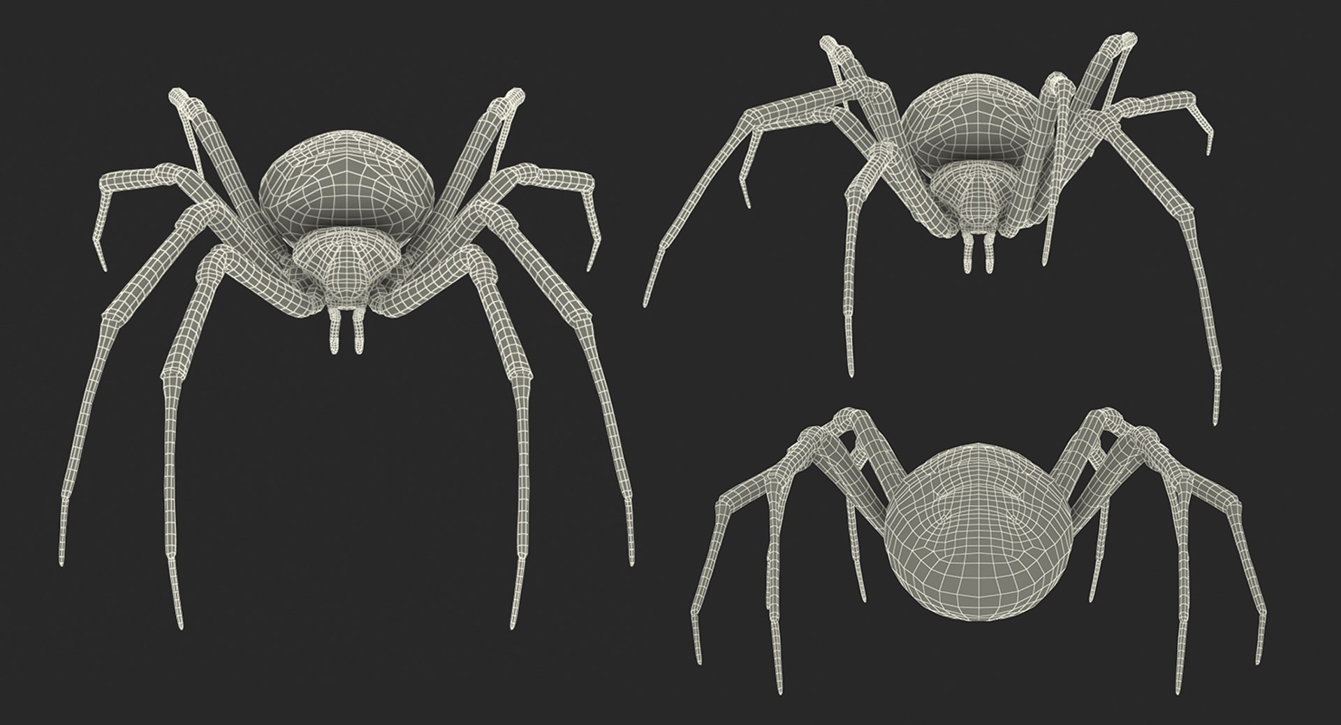 argiope aurantia yellow garden 3D https://p.turbosquid.com/ts-thumb/Lg/JaWoIl/lqzxqLtt/argiopeaurantiaoryellowgardenspiderriggedmayamb3dmodel35/jpg/1504594076/1920x1080/fit_q87/e28b33088fcb2ac3b4e7dda280f1cdcb55d0686d/argiopeaurantiaoryellowgardenspiderriggedmayamb3dmodel35.jpg