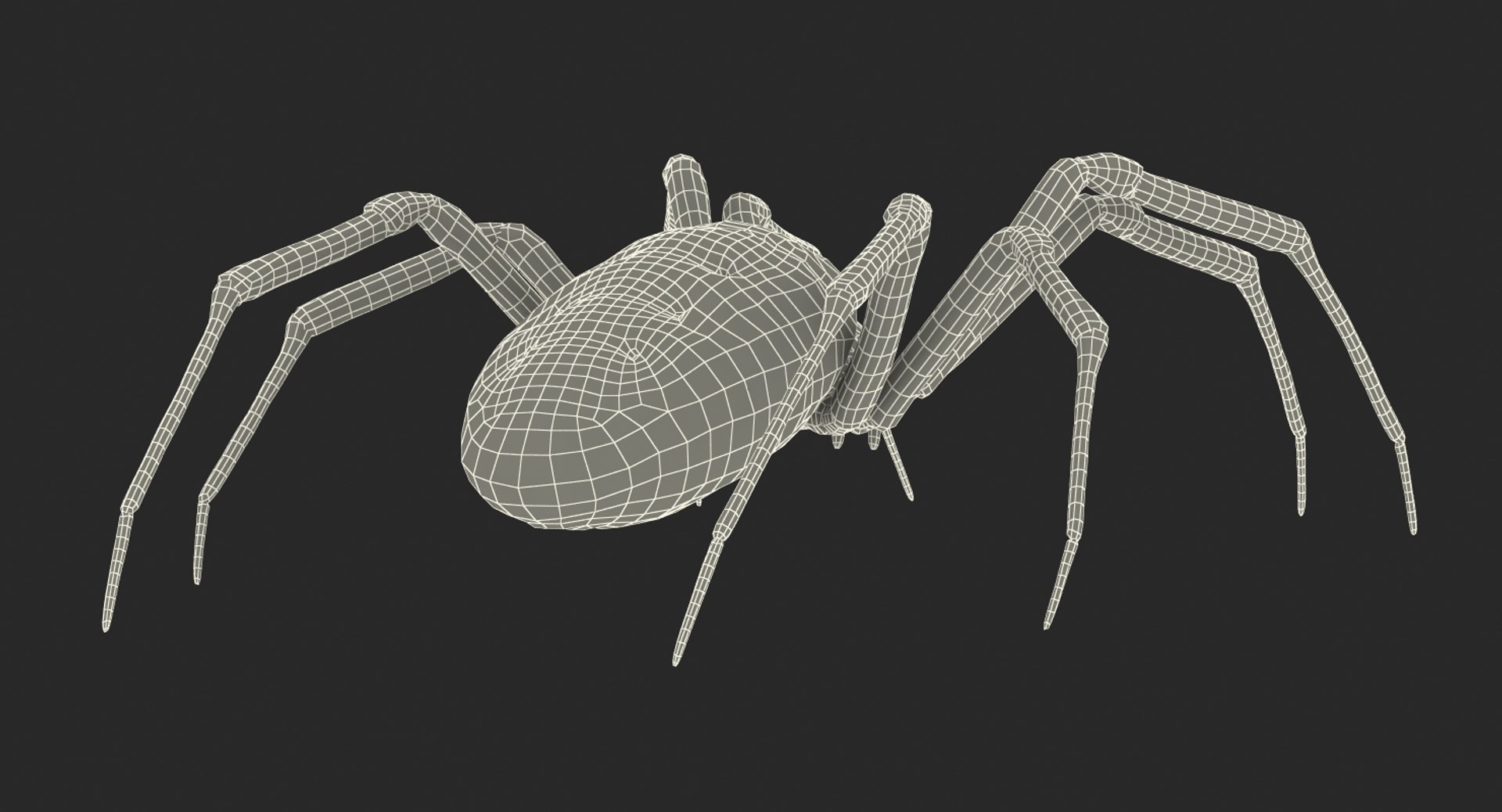 argiope aurantia yellow garden 3D https://p.turbosquid.com/ts-thumb/Lg/JaWoIl/smNh7DdO/argiopeaurantiaoryellowgardenspiderriggedmayamb3dmodel34/jpg/1504594076/1920x1080/fit_q87/a10cb791459efc395ea07d0728de468045e88edb/argiopeaurantiaoryellowgardenspiderriggedmayamb3dmodel34.jpg