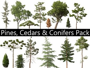 3D Pines Cedars Conifers Pack 22