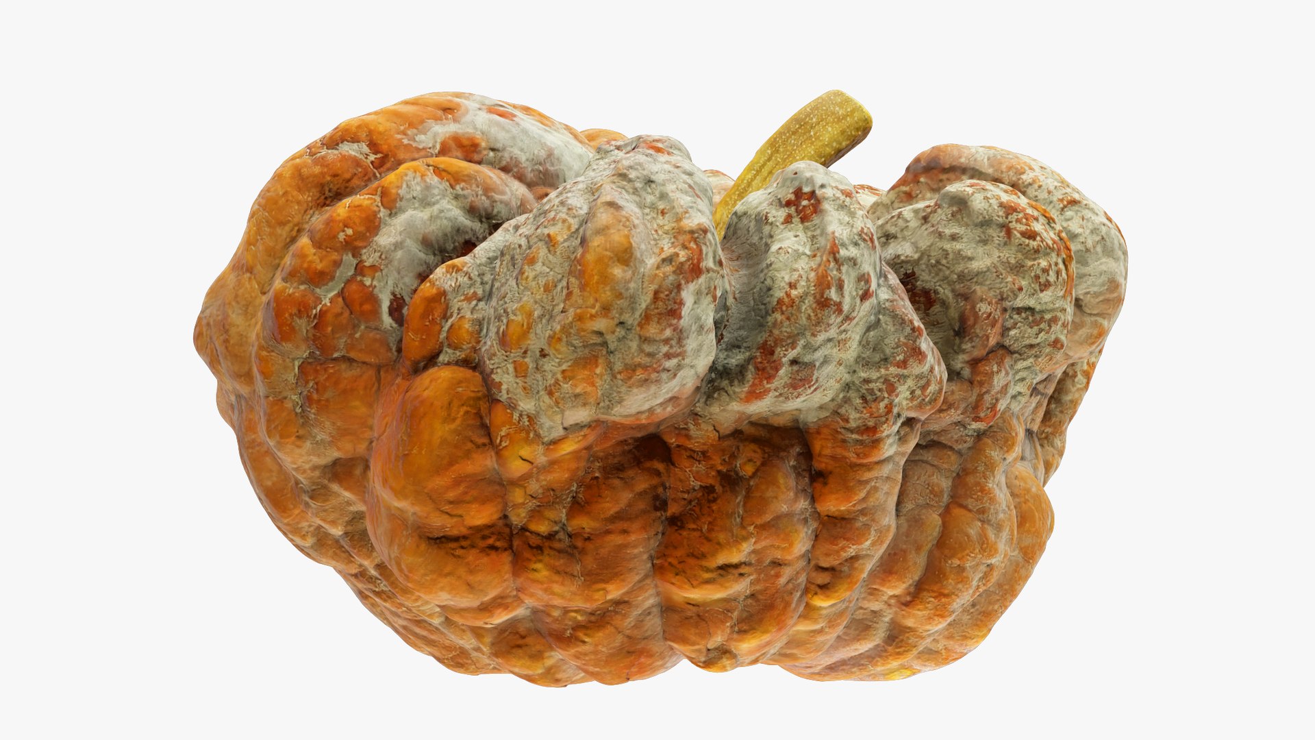 3D Pumpkins Collection V7 model https://p.turbosquid.com/ts-thumb/Lg/KMwW4Q/40/pump8_004_012/png/1705363604/1920x1080/fit_q87/b96fdba7caea9c6f56860e63ad72d12771abd74e/pump8_004_012.jpg