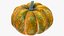 Pumpkins Collection V7