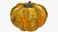 Pumpkins Collection V7